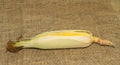 Fresh young sweet corn on the cob with husks, close-up. Freshly picked corn cobs Golden corn kernels. food market Royalty Free Stock Photo