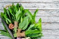 Fresh young wild garlic leaves on a white wooden background. Top view. Royalty Free Stock Photo