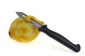 Fresh zested lemon with kitchen utensil Royalty Free Stock Photo