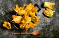 Fresh zucchini flowers inside vintage pan top view Royalty Free Stock Photo