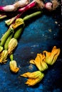 Fresh zucchini flowers and tropea onions over blue back Royalty Free Stock Photo