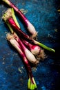 Fresh zucchini flowers and tropea onions over blue back Royalty Free Stock Photo