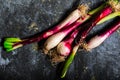 Fresh zucchini flowers and tropea onions over blue back Royalty Free Stock Photo