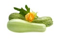 Fresh zucchini fruits with green leaves and flower Royalty Free Stock Photo