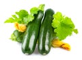 Fresh zucchini with green leaf and flower