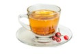 Fresher Rosehip Tea white background