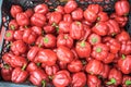 Freshest and hottest chili red peppers