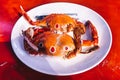 freshest seafood crabs at taiwan\'s fishing harbors