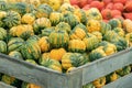 Freshley harvested green, yellow and orange pumpkins.