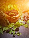 Freshly assorted berries in wooden bowl. Juicy and fresh blueberries6 blackberries and raspberries with green leaves on rustic Royalty Free Stock Photo