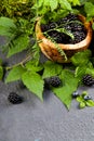 Freshly assorted berries in wooden bowl. Juicy and fresh blueberries6 blackberries and raspberries with green leaves on rustic Royalty Free Stock Photo