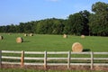 Freshly bailed hay