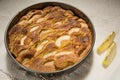 Freshly baked apple pie in round form, on the table, golden crust Royalty Free Stock Photo