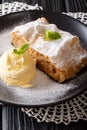 Freshly baked apple strudel with vanilla ice cream and mint clos Royalty Free Stock Photo