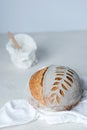 Freshly baked Artisan sourdough bread loaves and bag of flour on white background. Low FODMAP Bread. Healthy food.