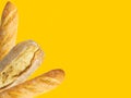 Freshly baked artisan whole french baguettes with golden crusty floury texture ciabatta on yellow background Royalty Free Stock Photo