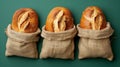 Freshly baked artisanal bread loaves in burlap sacks on a green background Royalty Free Stock Photo