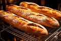 freshly baked baguettes cooling on metal grates