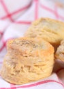 Freshly baked biscuits in a serving basket Royalty Free Stock Photo