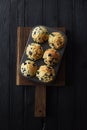 Freshly baked blueberry muffins on oak board on black background with natural lighting top view Royalty Free Stock Photo