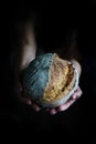 Freshly baked bread in the caring hands of a baker, on a black background. Royalty Free Stock Photo
