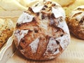 Freshly baked brown raisin sour bread made from wheat flour in basket on shelf of bakery shop. Photo of delicious, healthy Royalty Free Stock Photo