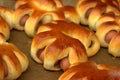 Freshly baked buns with sausages in a private bakery, close-up