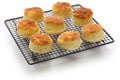 Freshly baked buttermilk biscuits on cooking wire rack Royalty Free Stock Photo