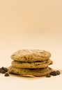 Freshly Baked Chocolate Chip Cookies Royalty Free Stock Photo