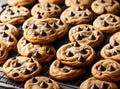 Freshly Baked Chocolate Chip Cookies Royalty Free Stock Photo
