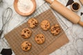 Freshly baked chocolate chip cookies on a wire cooling rack Royalty Free Stock Photo