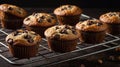 Chocolate Chip Muffins Cooling on Wire Rack, Sweet Treat for Dessert Royalty Free Stock Photo