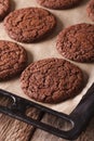 Freshly baked chocolate cookies on a baking sheet close-up. vert Royalty Free Stock Photo