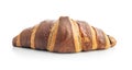 Freshly Baked Chocolate Croissant Isolated Against White Background