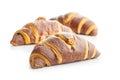 Freshly Baked Chocolate Croissants Isolated Against White Background