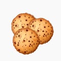 Sweet choco chip cookies with chocolate dots vector illustration.