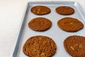 Freshly baked chocolate ginger snap cookies on the baking sheet on a table close-up. Royalty Free Stock Photo