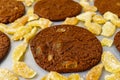 Freshly baked chocolate ginger snap cookies on the baking sheet on a table close-up. Royalty Free Stock Photo