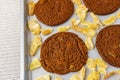 Freshly baked chocolate ginger snap cookies on the baking sheet on a table close-up. Royalty Free Stock Photo