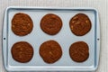 Freshly baked chocolate ginger snap cookies on the baking sheet on a table close-up. Royalty Free Stock Photo