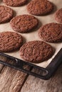 Freshly baked chocolate gingerbread cookies on the baking sheet. Royalty Free Stock Photo