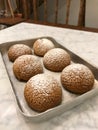 Freshly Baked Choux Pastry Paris Brest Eclair Praline with Chocolate and Powder Sugar on Tray. Royalty Free Stock Photo