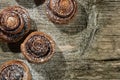 Freshly baked cinnamon buns with spices and cocoa filling on old