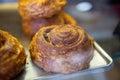 freshly baked cinnamon roll Royalty Free Stock Photo