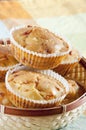 Freshly baked cornbread muffins Royalty Free Stock Photo