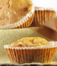 Freshly baked cornbread muffins Royalty Free Stock Photo