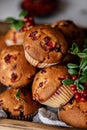 Freshly baked cowberry muffins. Cranberry muffins with fresh berries on rustic background. Copy space. Royalty Free Stock Photo