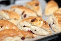 Freshly baked cranberry scones Royalty Free Stock Photo