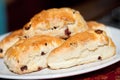 Freshly baked cranberry scones Royalty Free Stock Photo