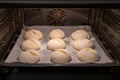 freshly baked crispy buns in the oven on the tray, process of cooking mini small bread